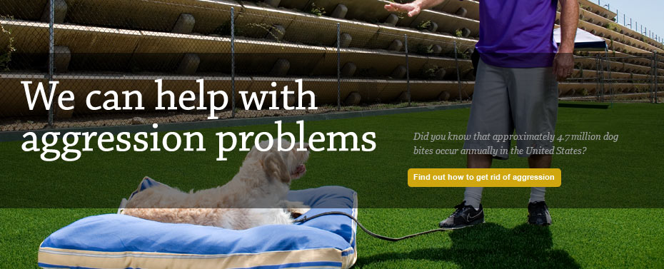 We can help with agression problems