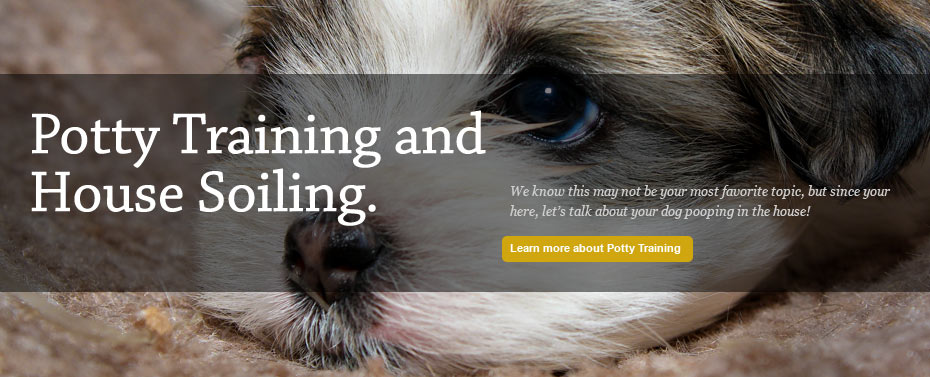 Potty Training and House Soiling