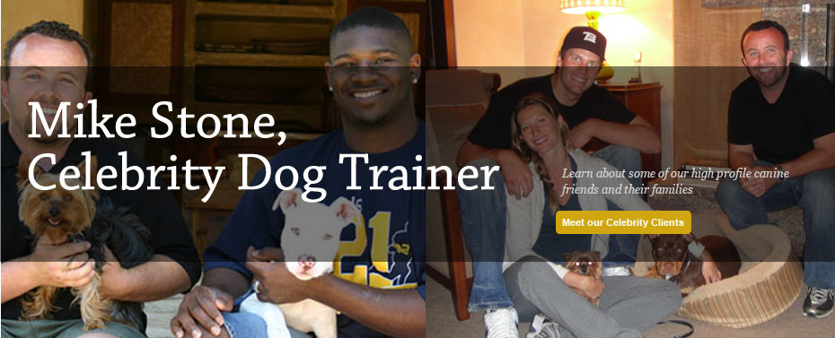Some of our friends & clients