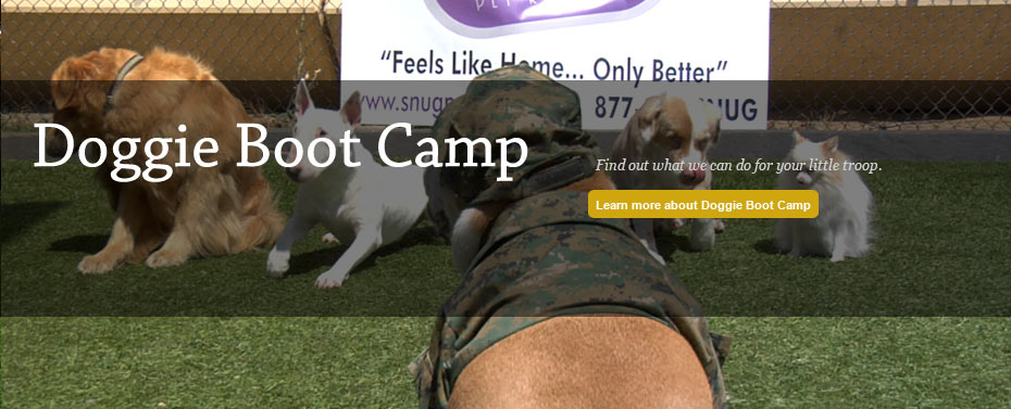 Doggie Boot Camp