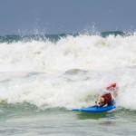 Dog Surfing