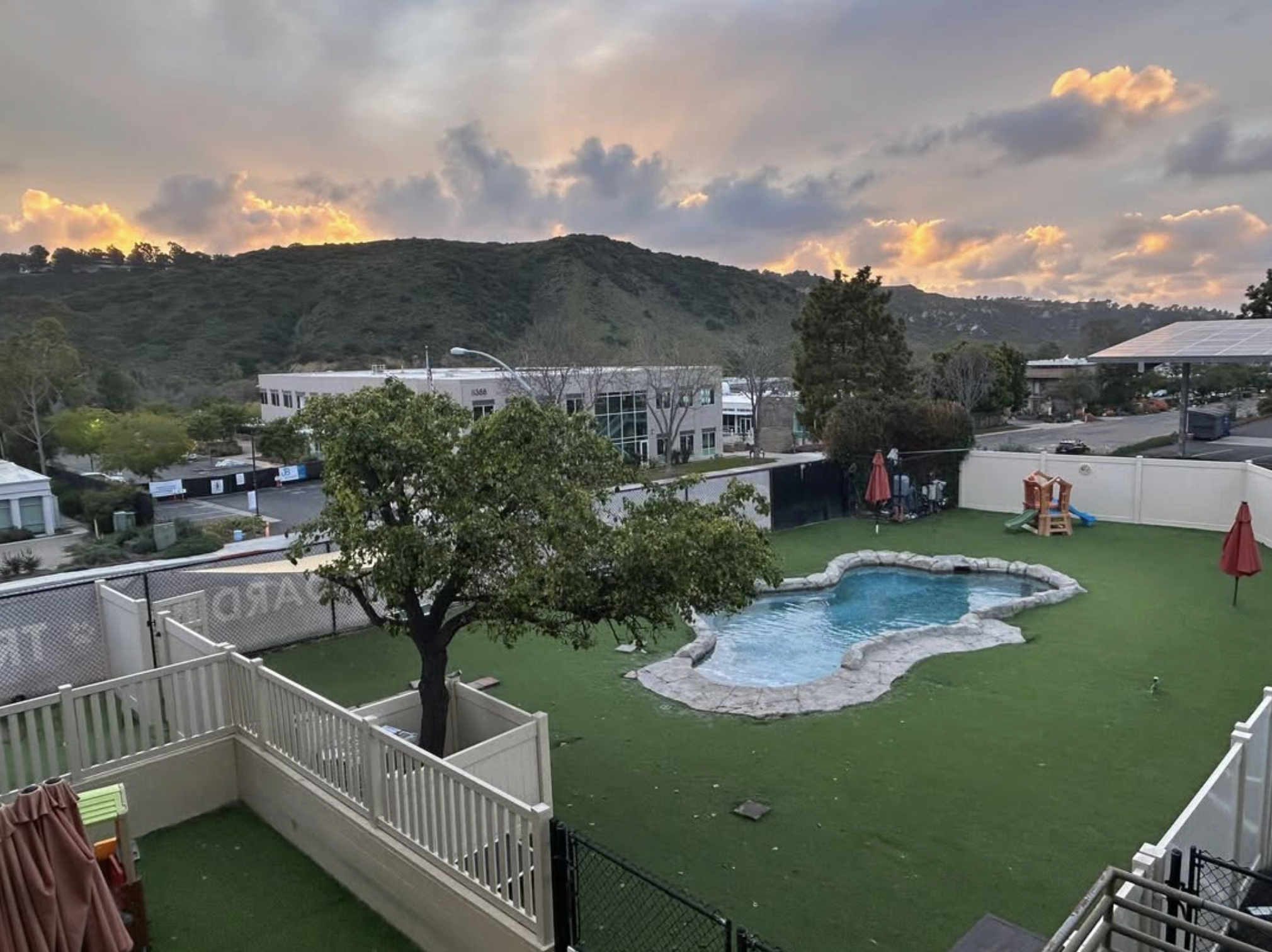 The Absolute K-9 and Snug Pet Resort facility in Sorrento Valley, San Diego, showing turf play yards, shaded areas and the salt-water swimming pool